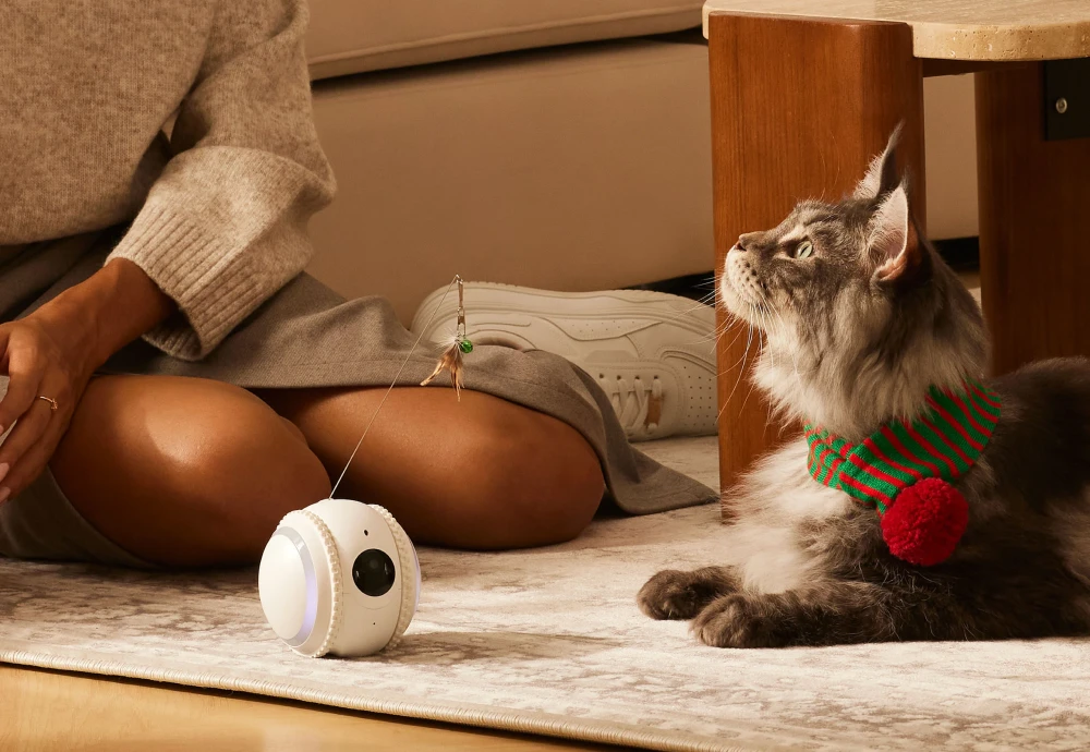 best indoor cameras for pets