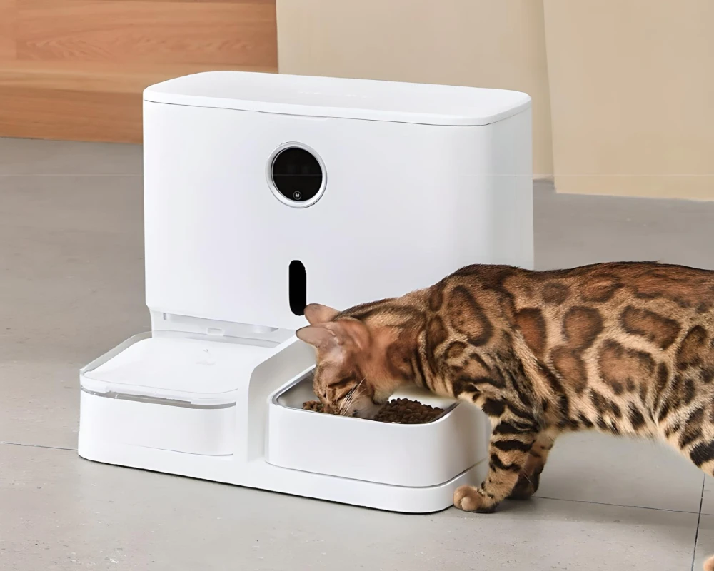 cat automatic pet feeder