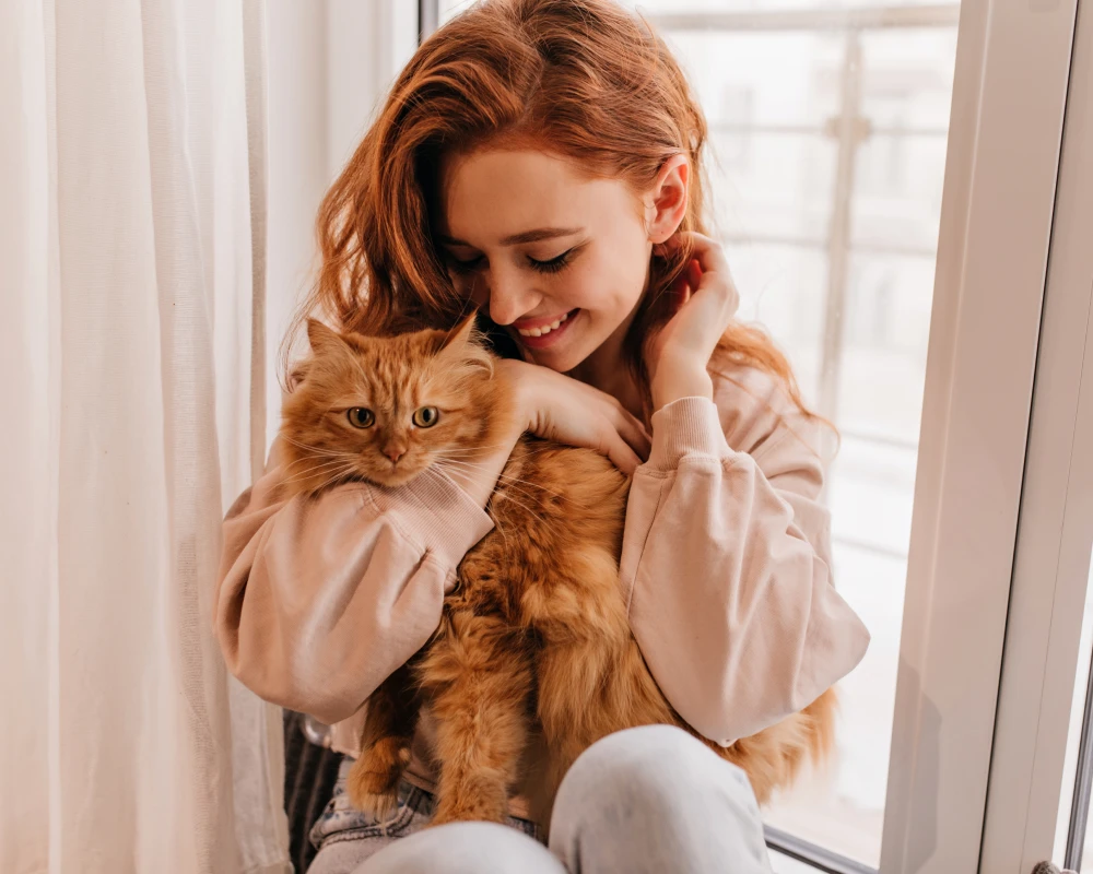 best automatic pet feeder