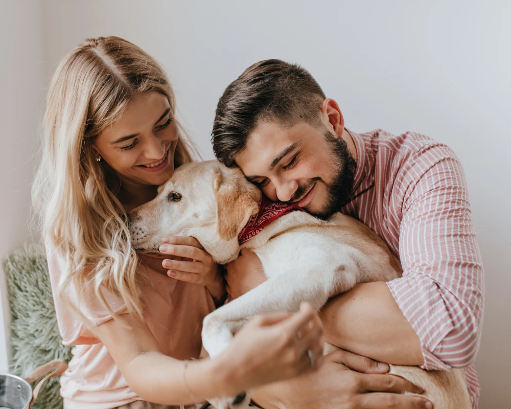 smart pet feeder with camera