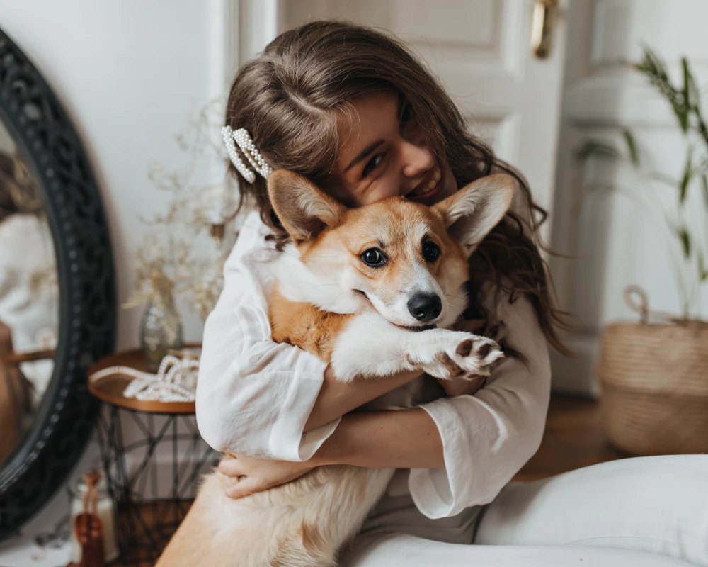 automatic pet feeder for 2 cats
